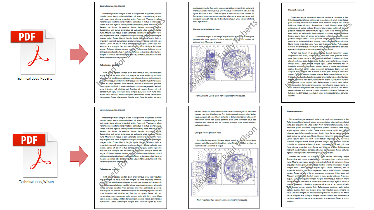 Watermarking PDF Files