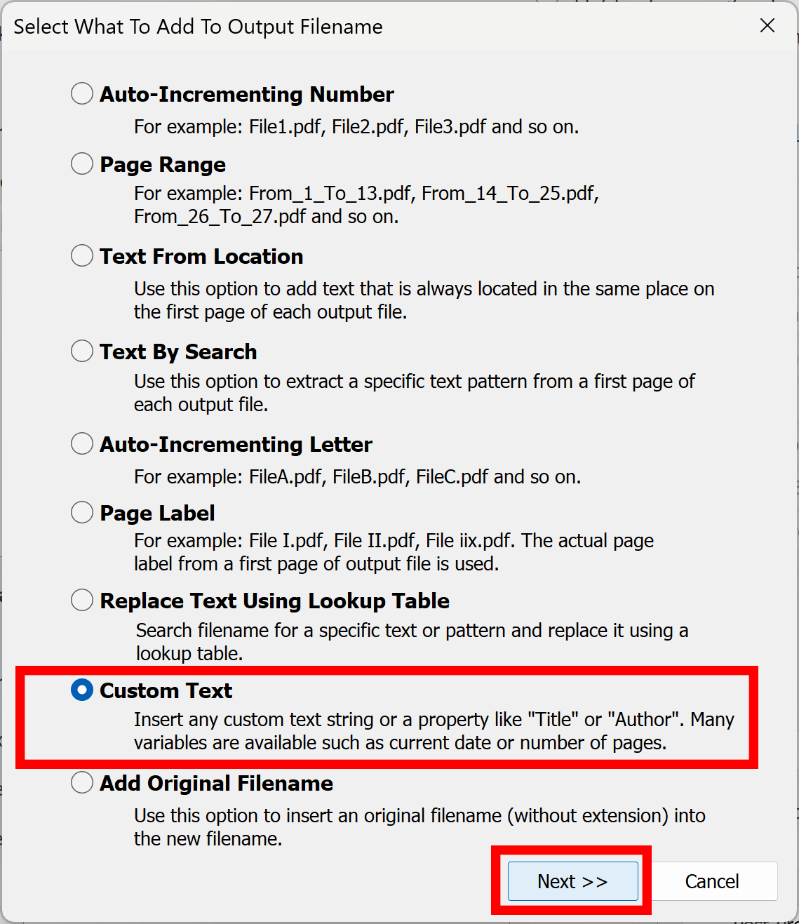 Select Custom Text option and press Next button