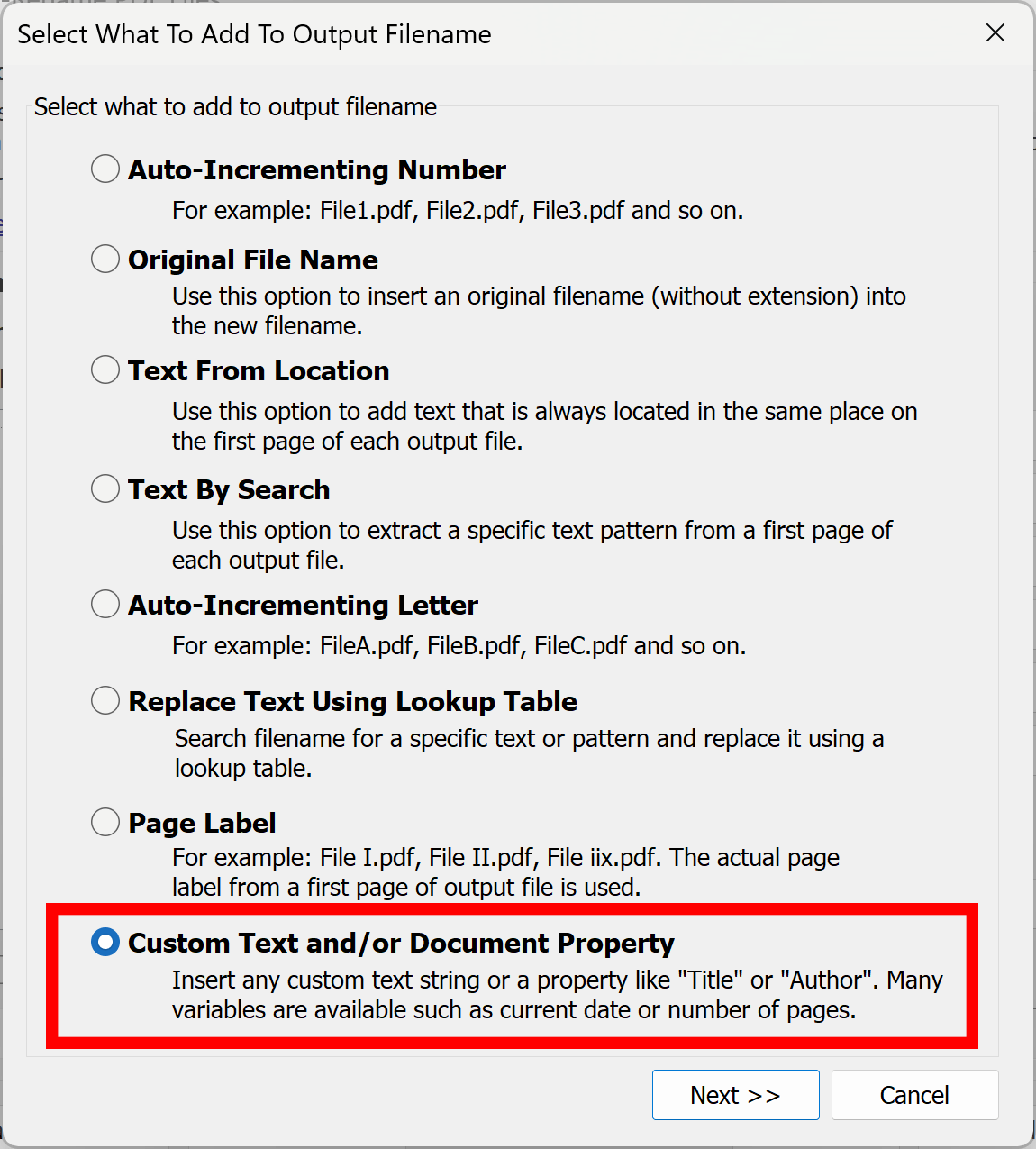 Select Custom Text option