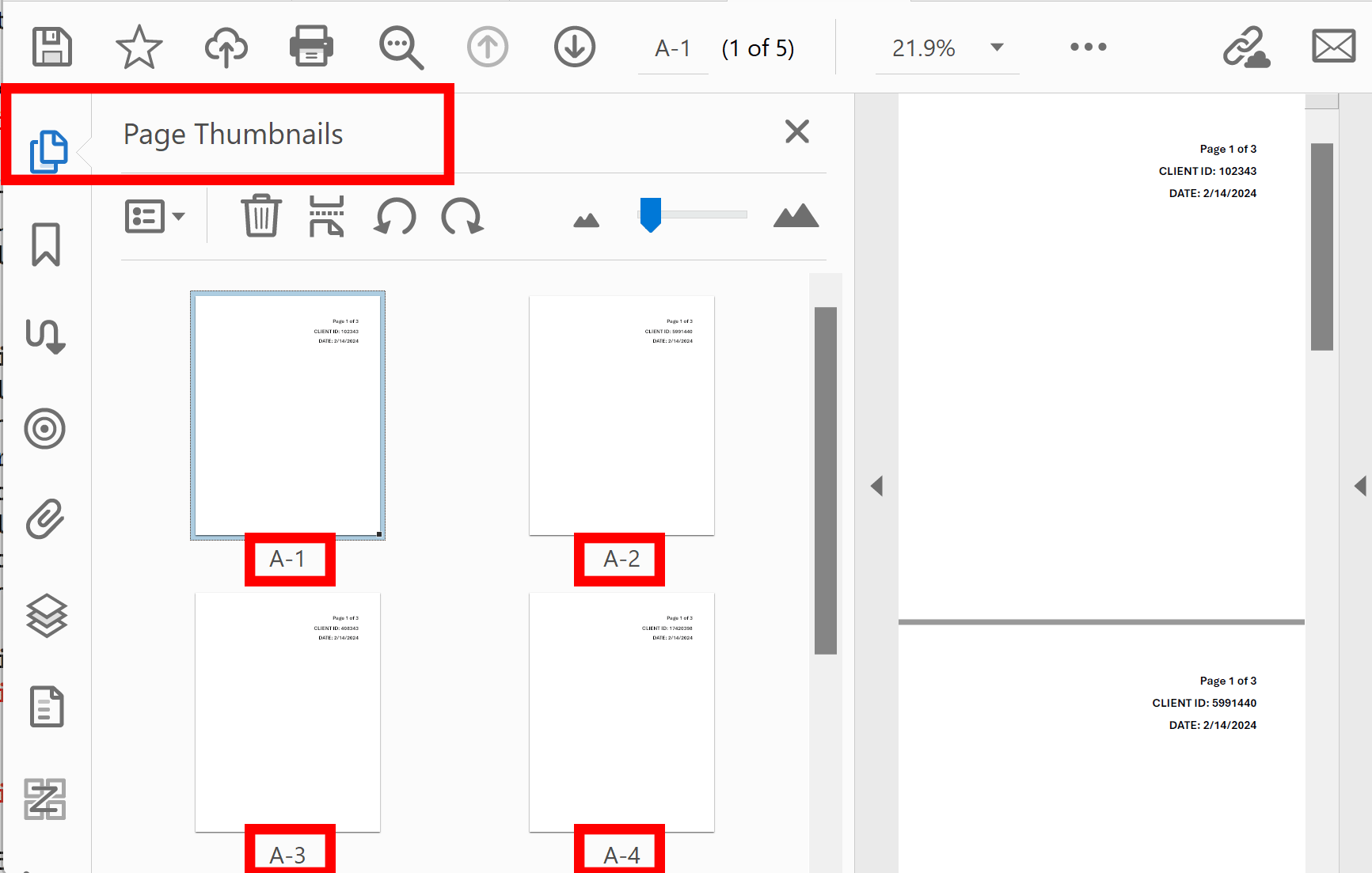 Page labels assigned in the current PDF document