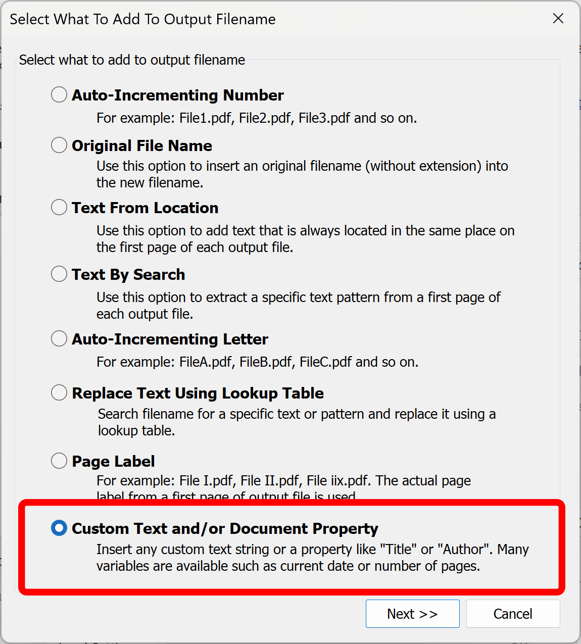 Select custom text option