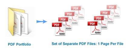 Export to Summation